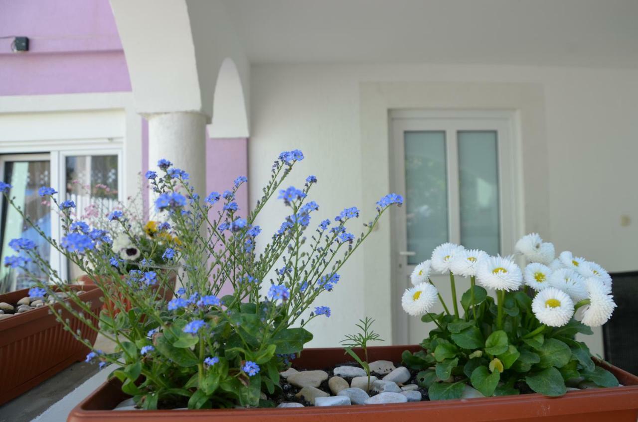 Ema & Sea Apartment'S Pula Ngoại thất bức ảnh